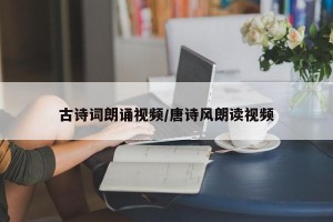 古诗词朗诵视频/唐诗风朗读视频